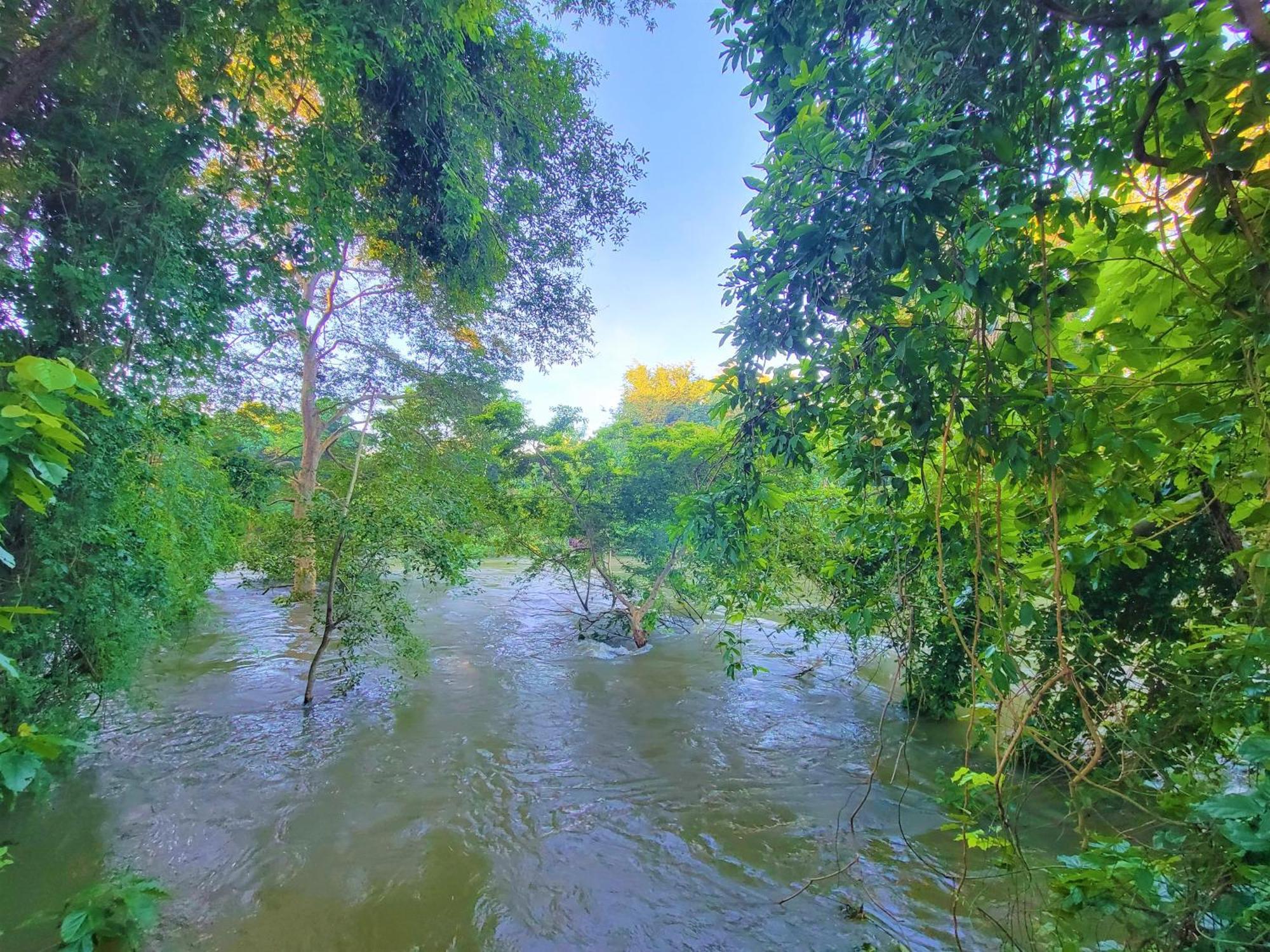 Jami River Side Hotel & Yala Safari Place Tissamaharama Luaran gambar